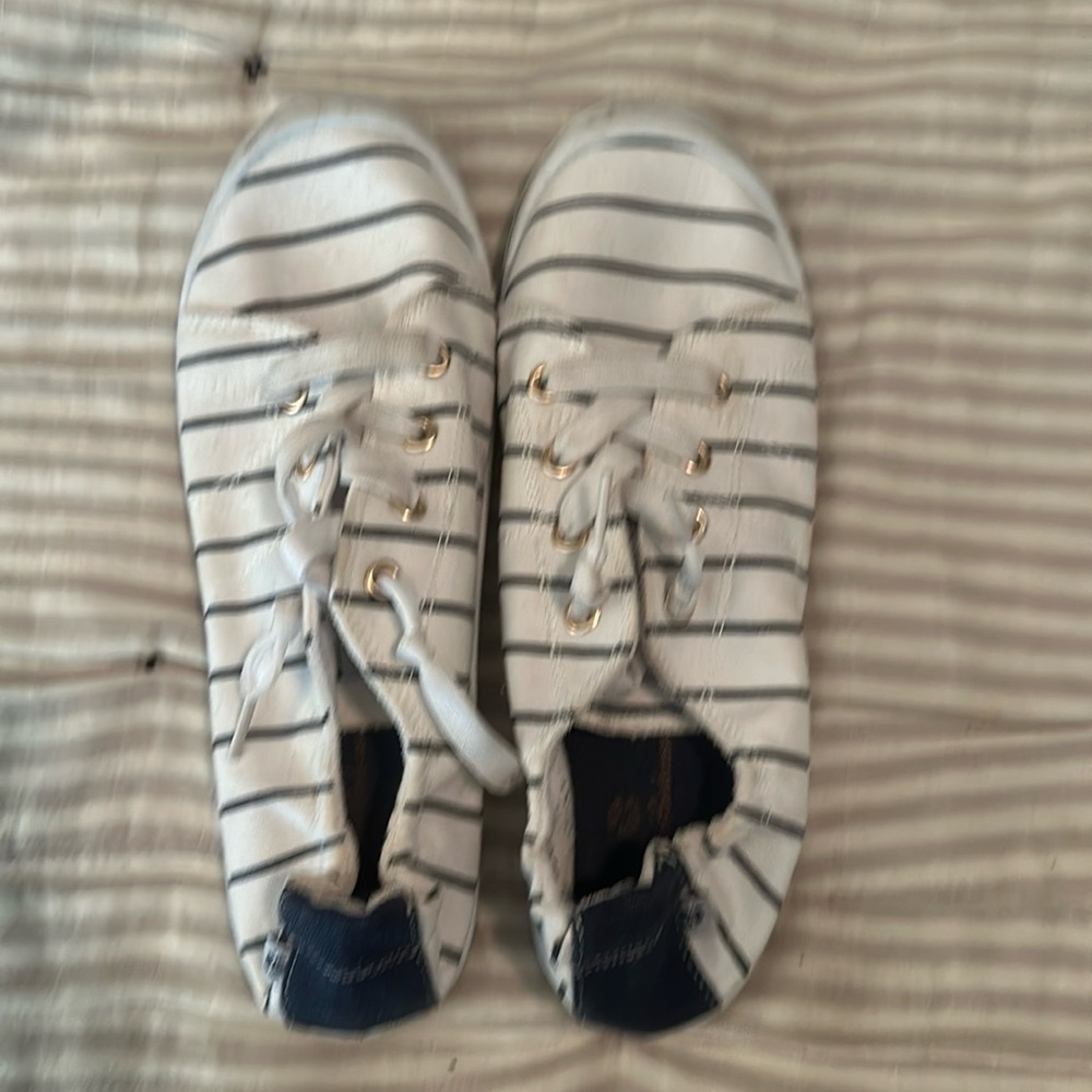 Tommy Bahama